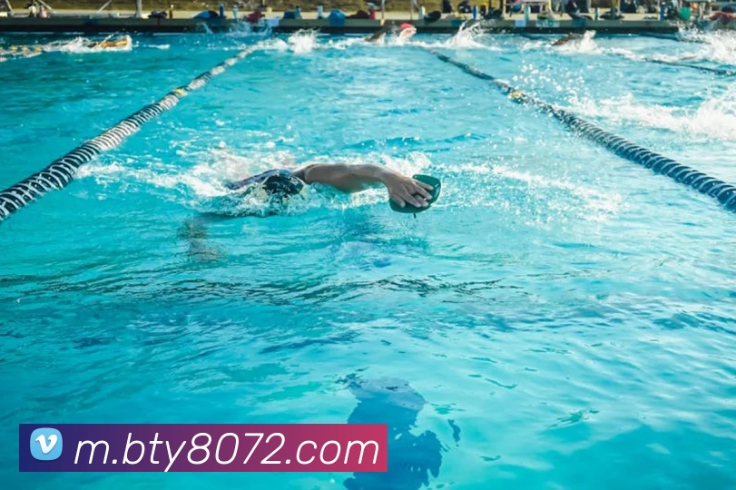 B体育平台生态图